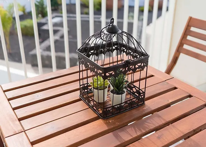 Escape Senator Pool And Wifi